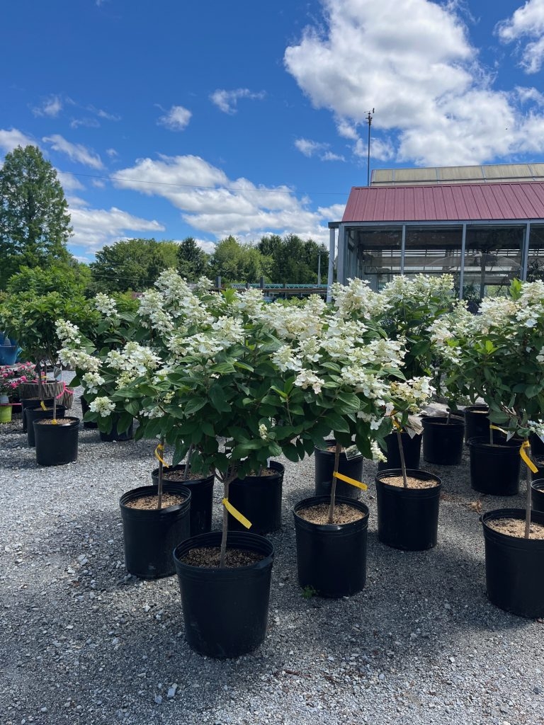 gardner's landscape nursery
