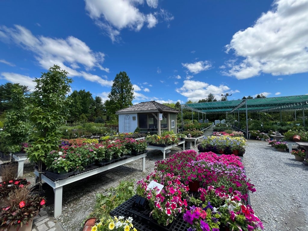 This Week At Gardner s Gardner s Landscape Nursery