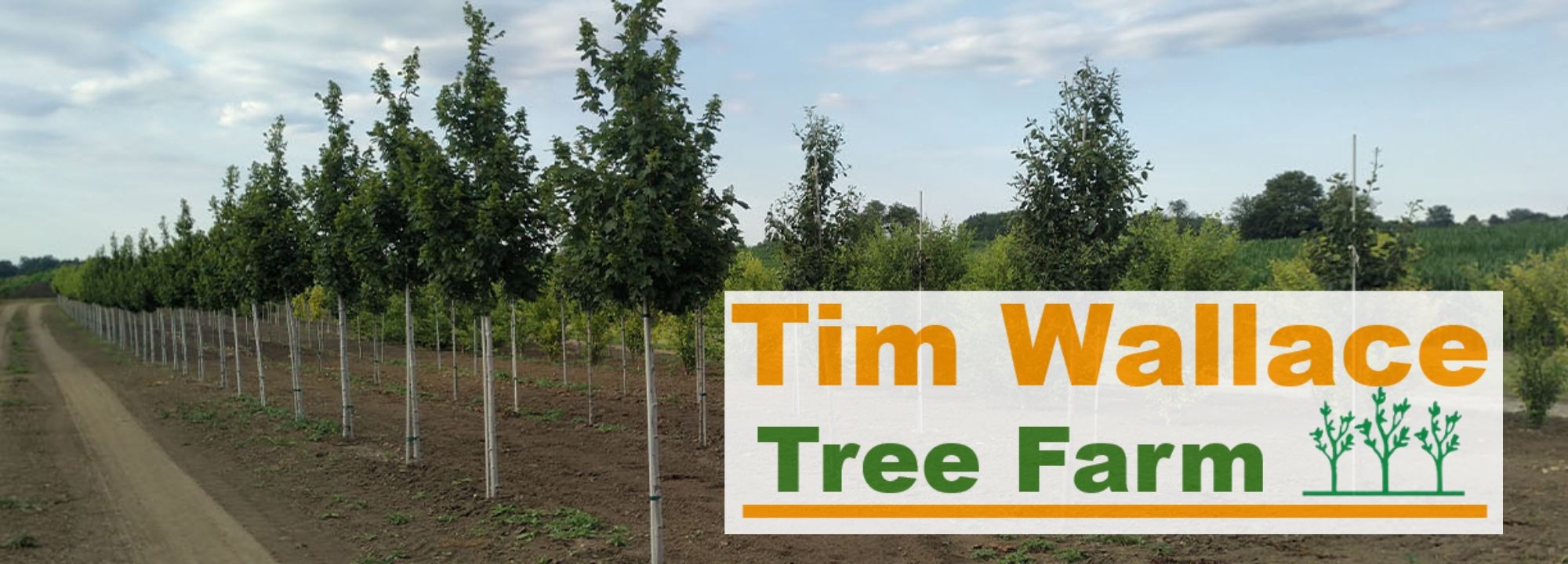 Tim Wallace Soil Mix Supply And Nursery