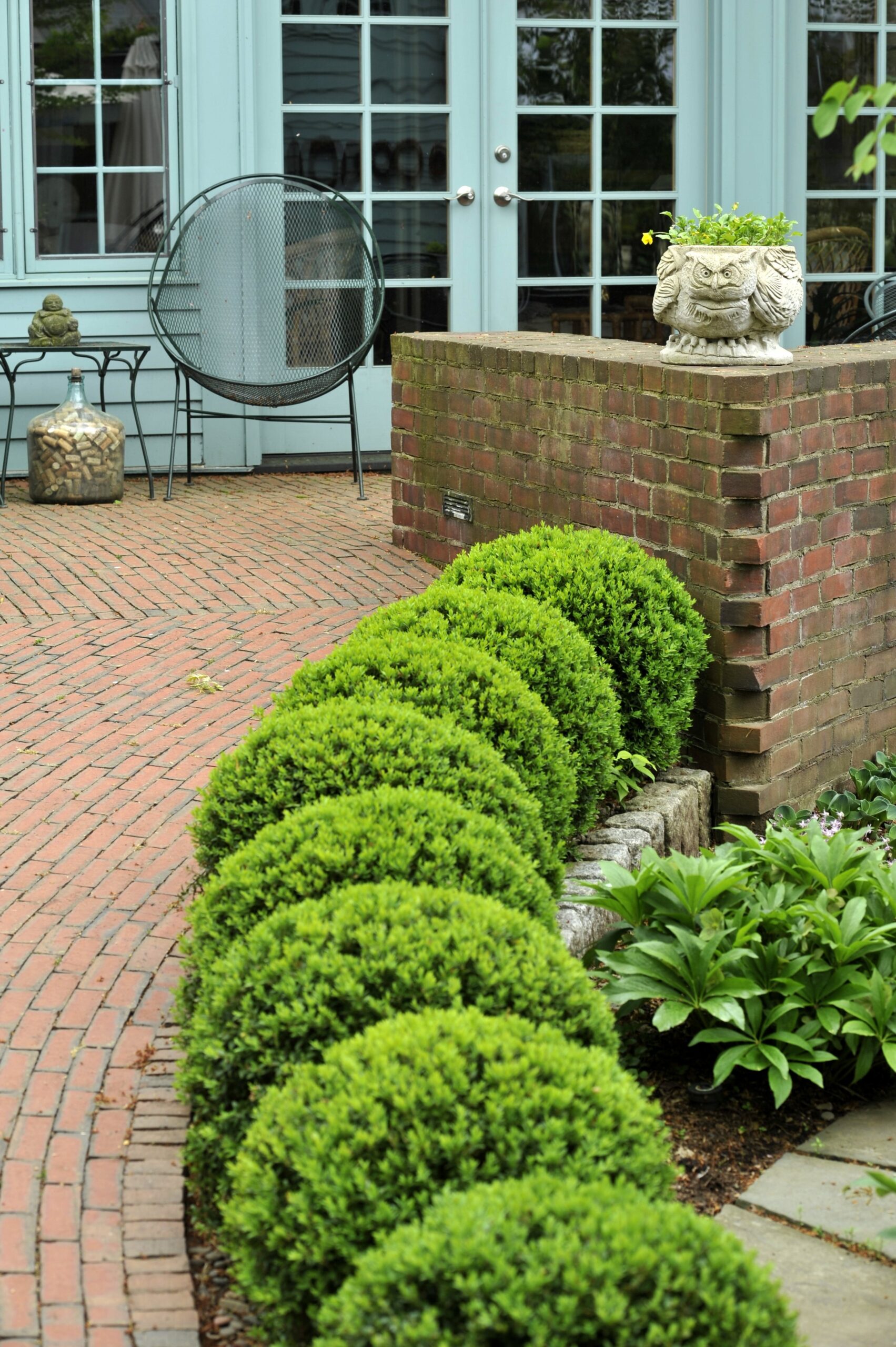 Timeless Boxwood Land Morphology