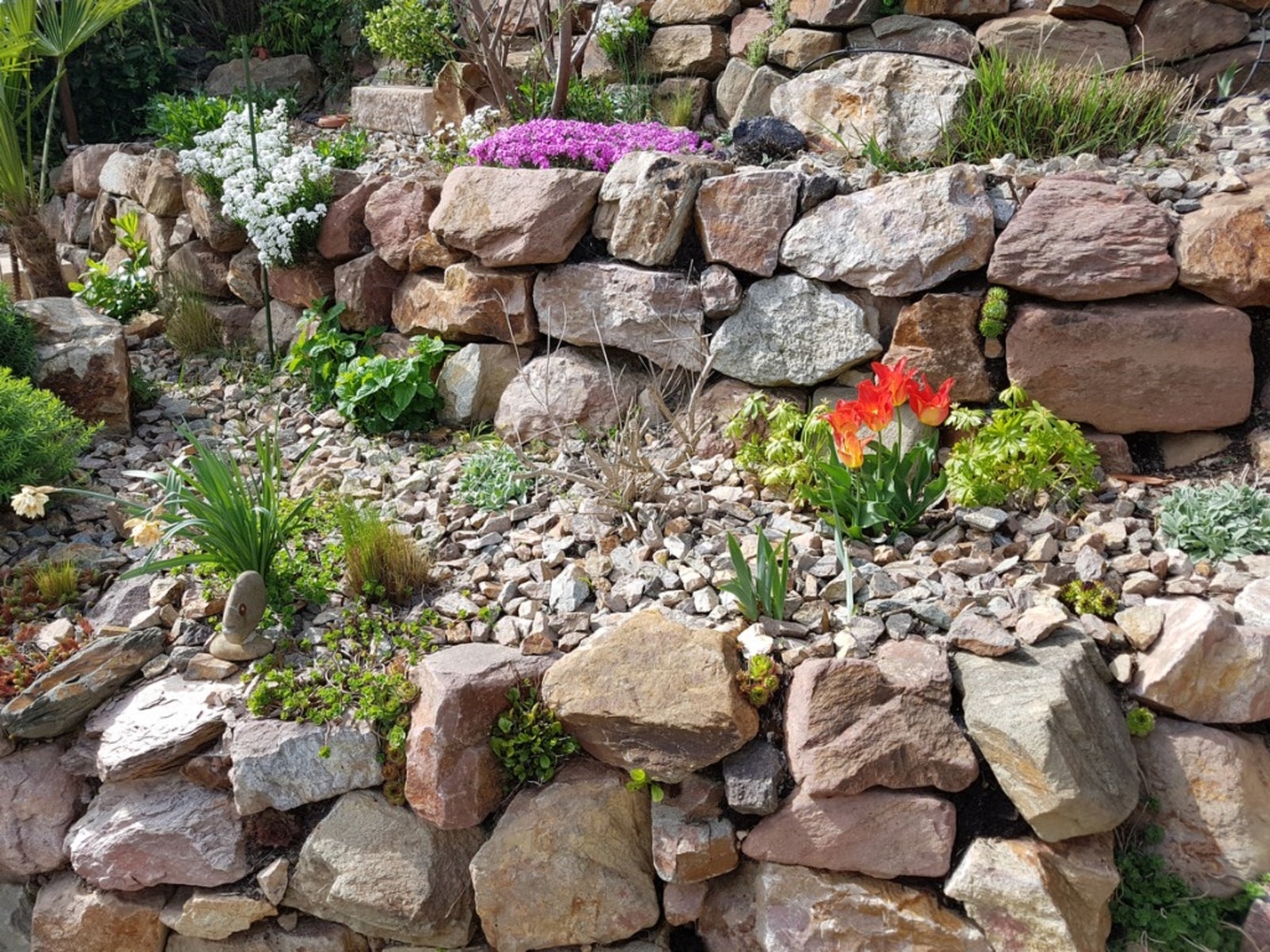 Tips For A Simple Design Of Rock Gardens Gardening Know How