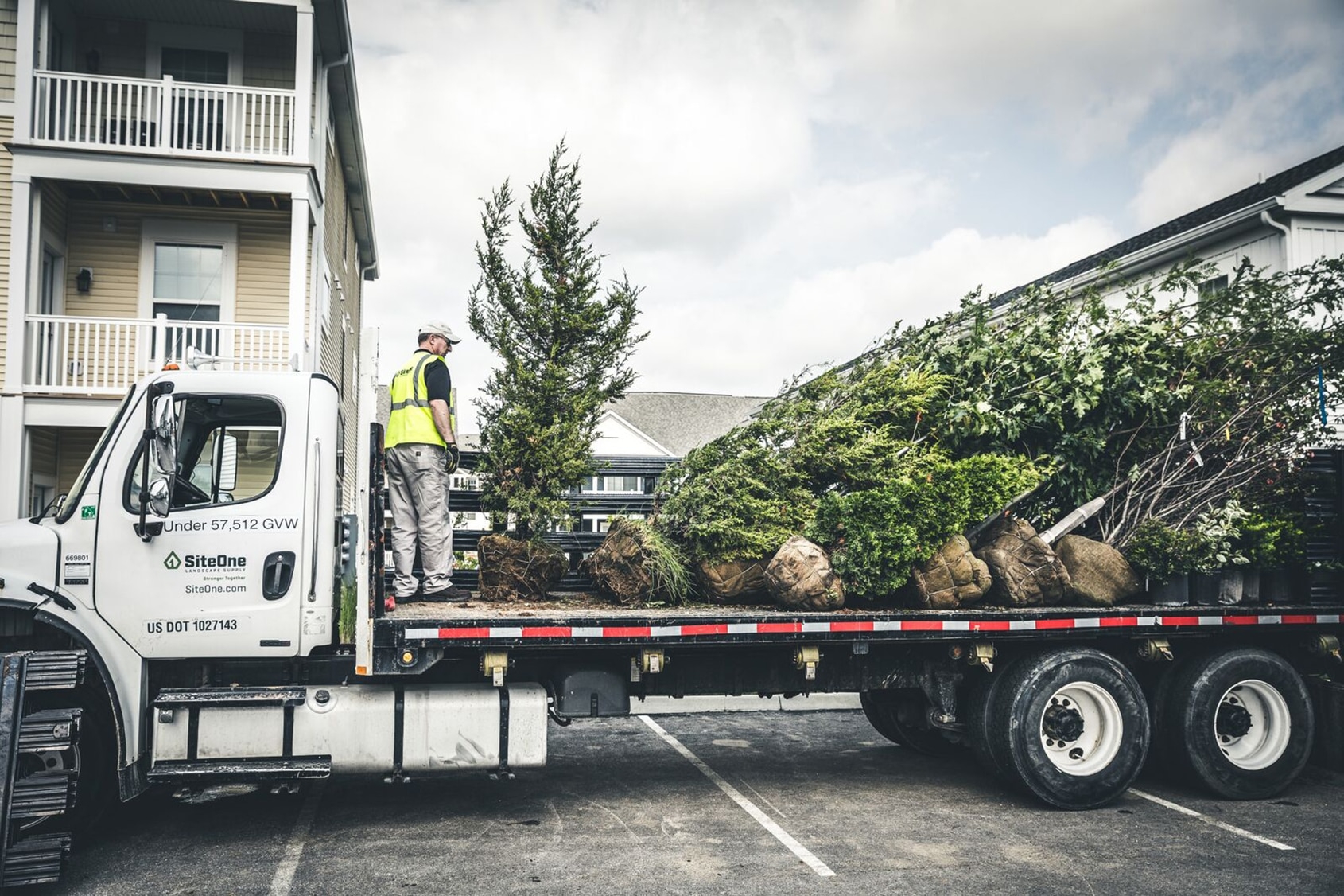 Tips For Planning Plant Purchases SiteOne