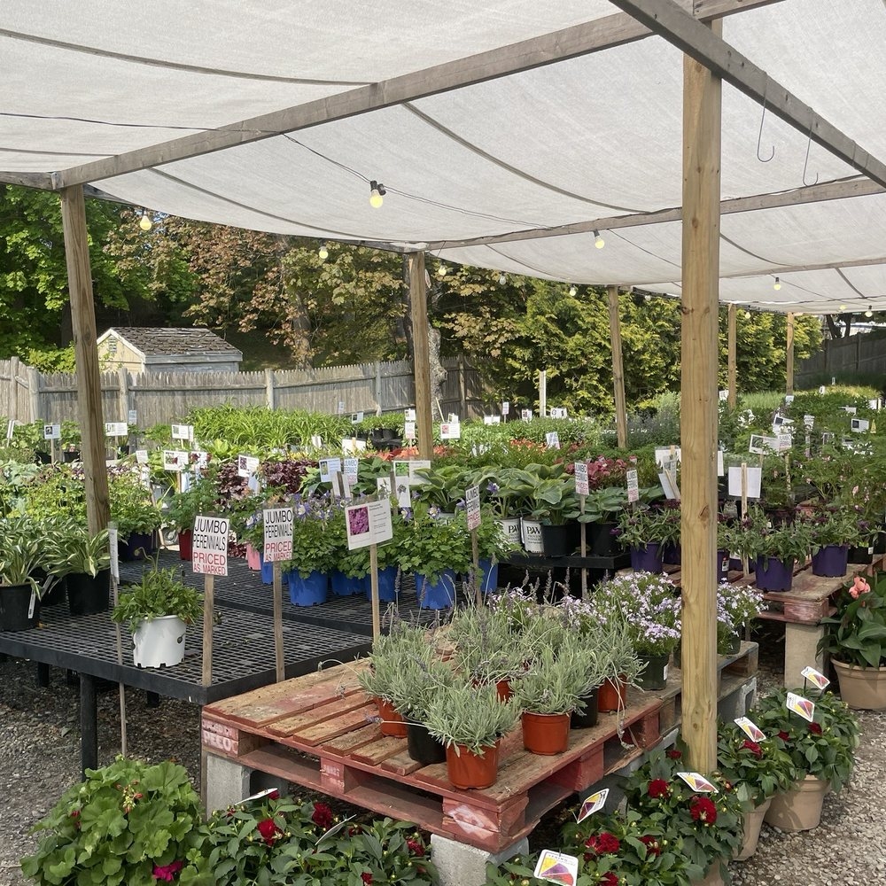 TOP 10 BEST Gardeners Near Plymouth MA Updated 2025 Yelp