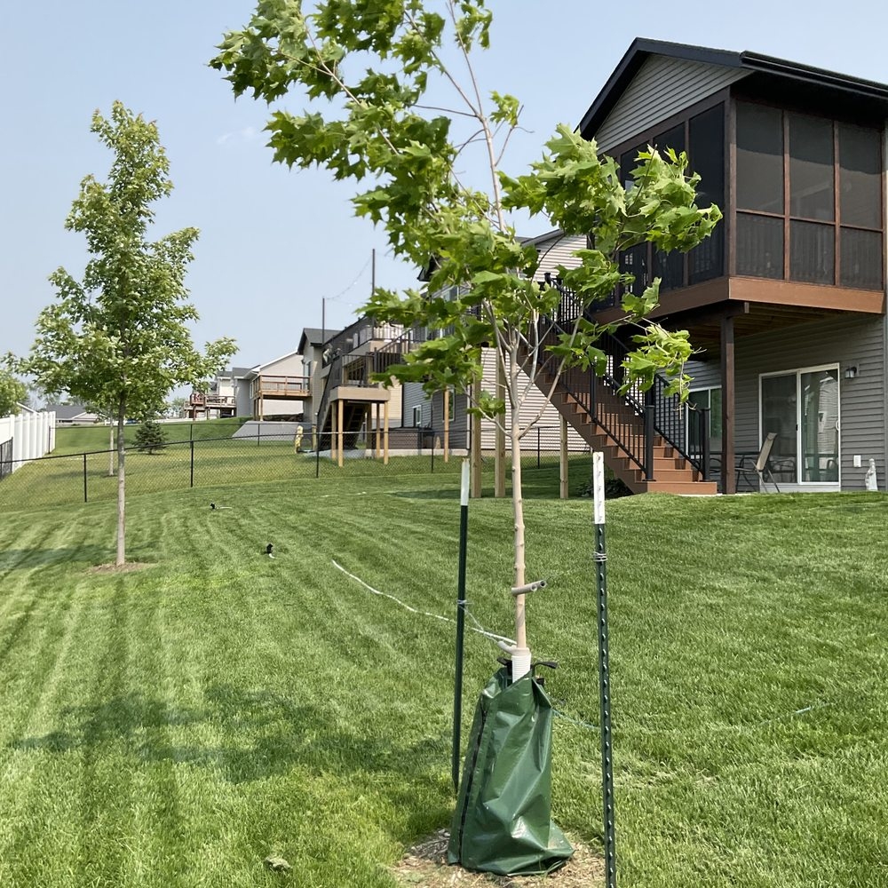 TOP 10 BEST Landscaping Companies In Iowa City IA Updated 2025 Yelp