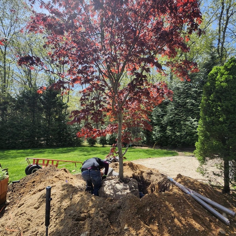 pmc landscapes ltd