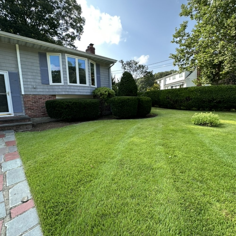 TOP 10 BEST Landscaping Near Wakefield MA 01880 Updated 2025 Yelp