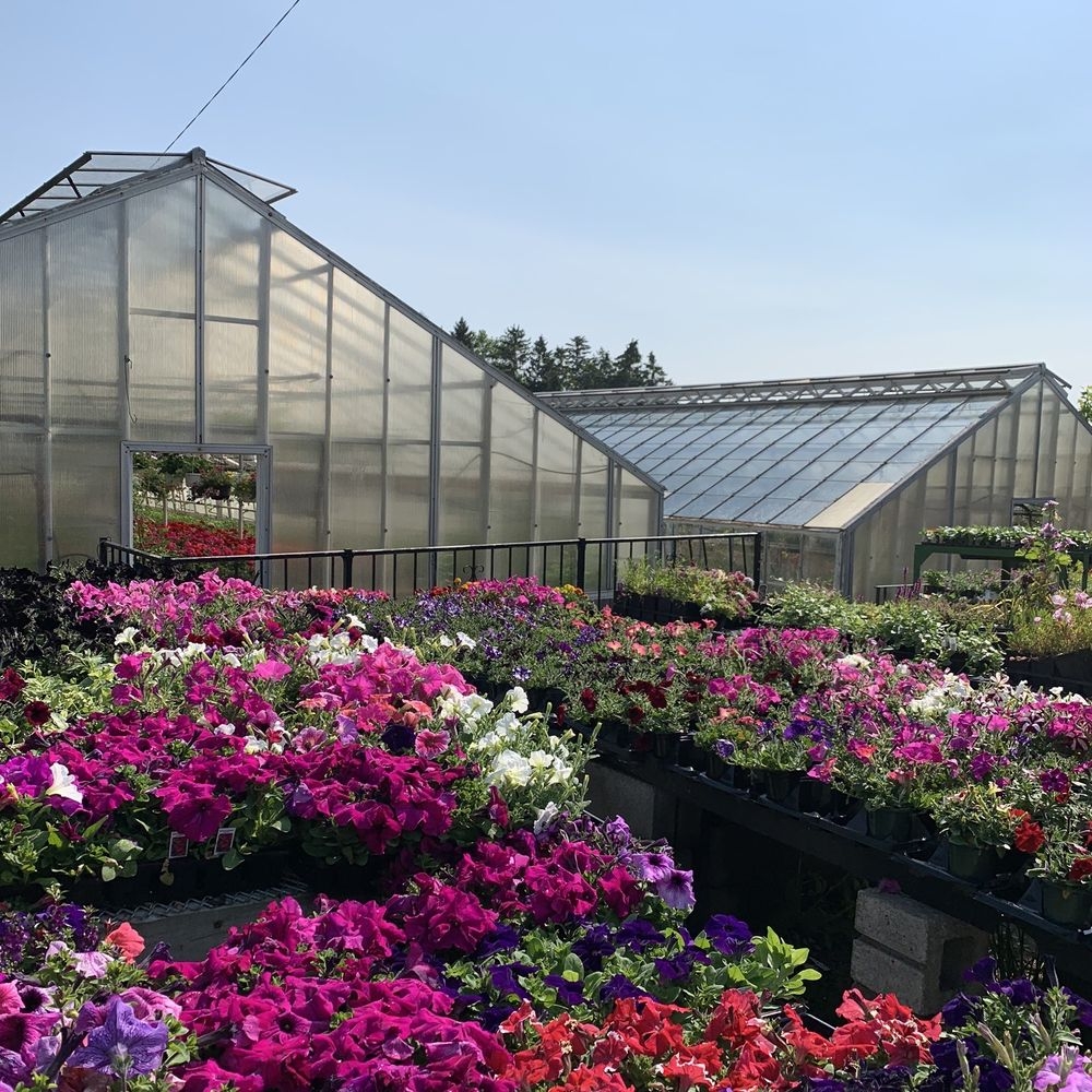 TOP 10 BEST Nurseries Gardening Near Crabtree PA Updated 2025 Yelp