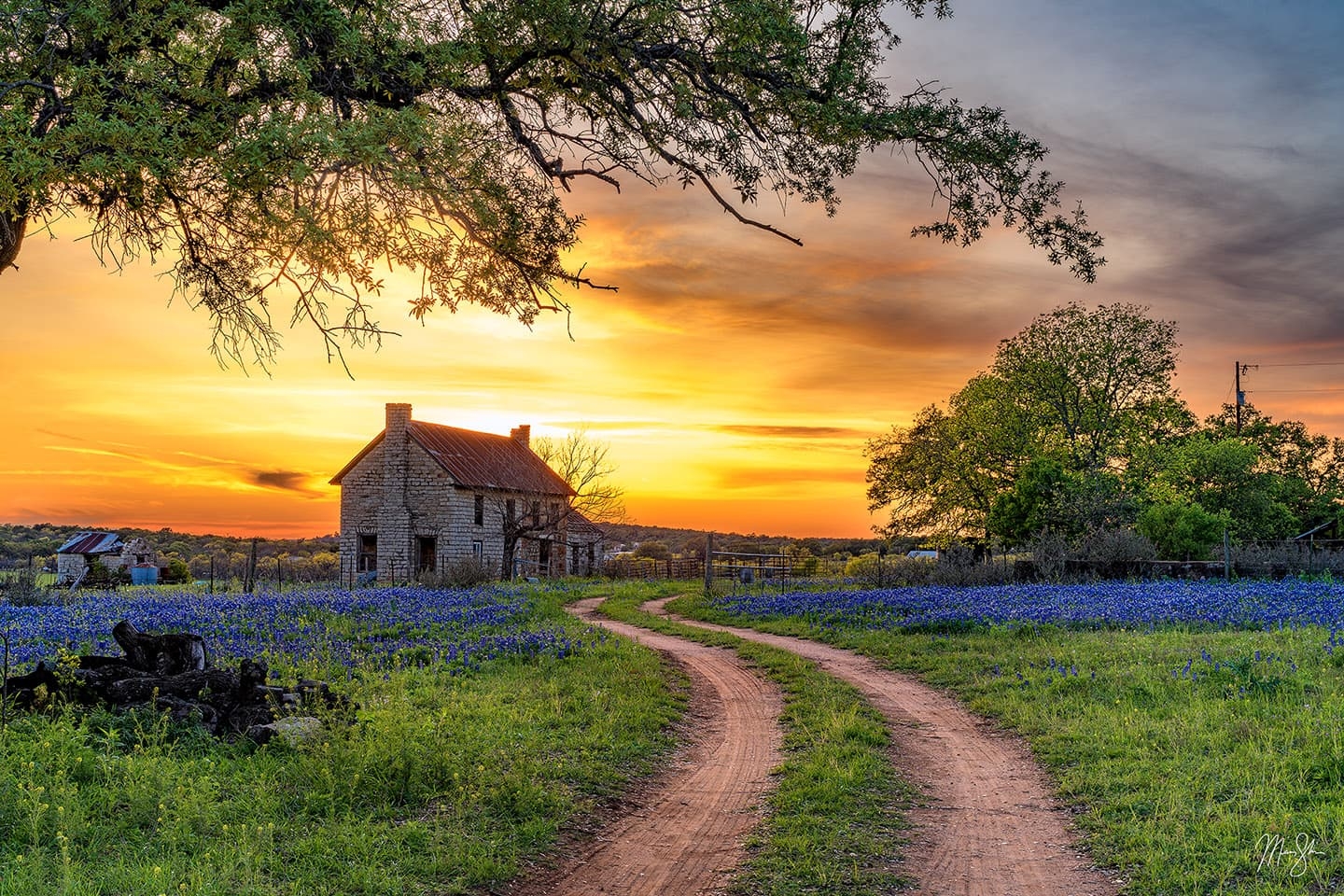 Top 2023 Landscape Photographs Mickey Shannon Photography