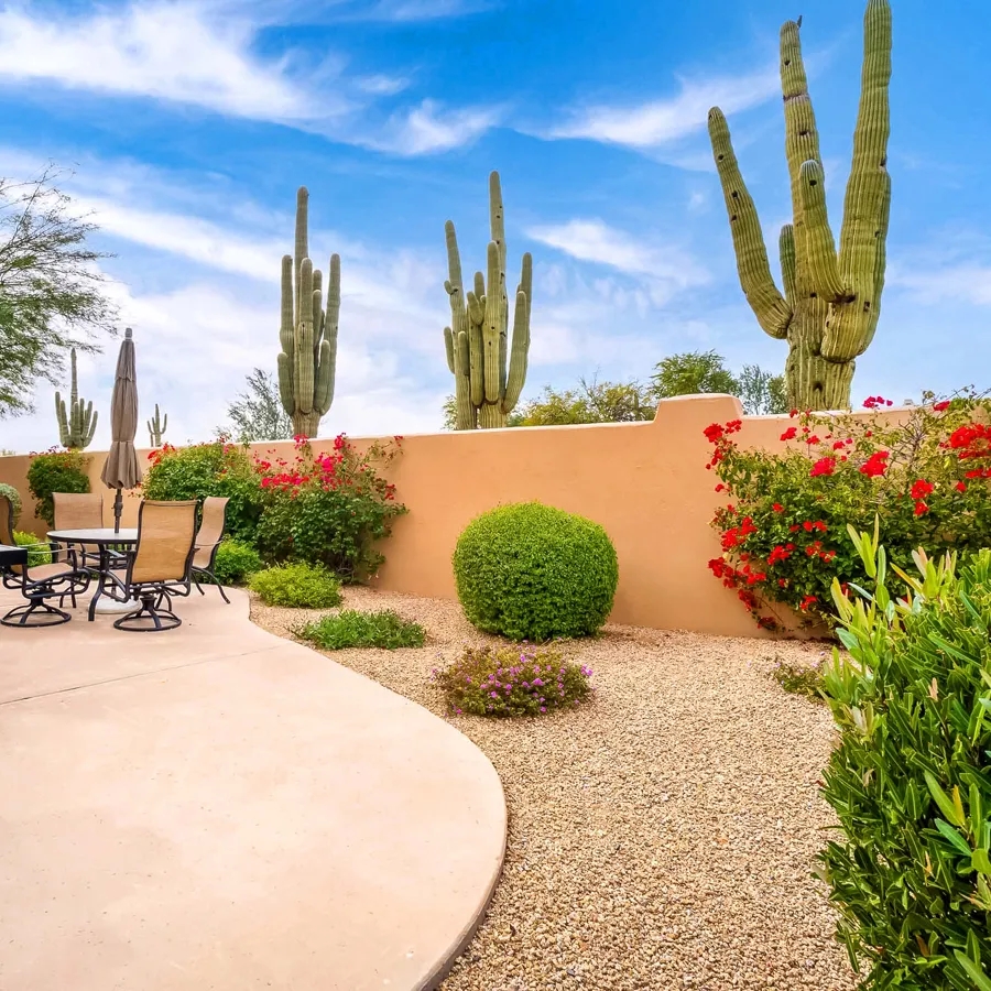 Top 5 Drought Tolerant Landscaping Projects Southwest Boulder 