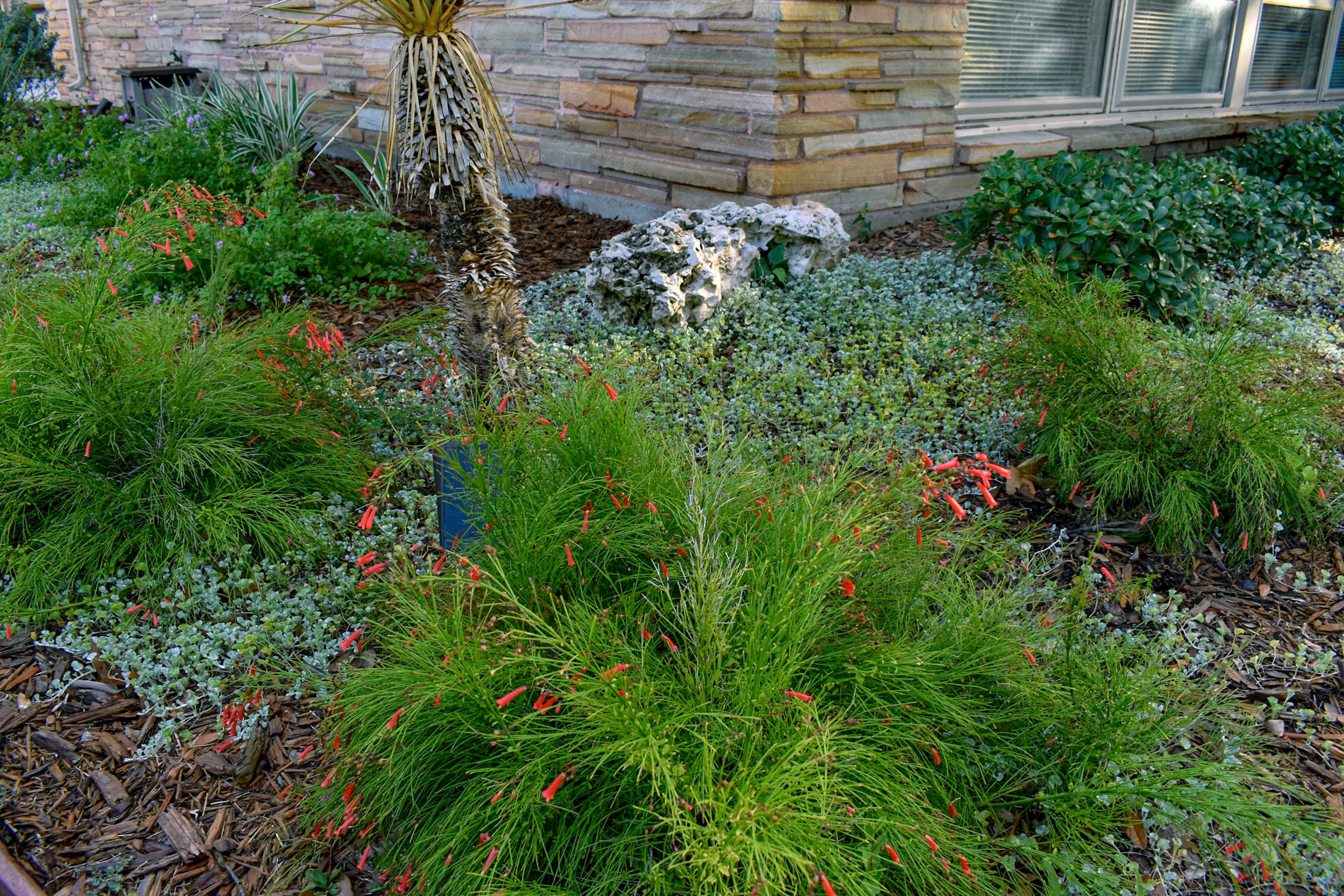 gill garden center + landscape co.