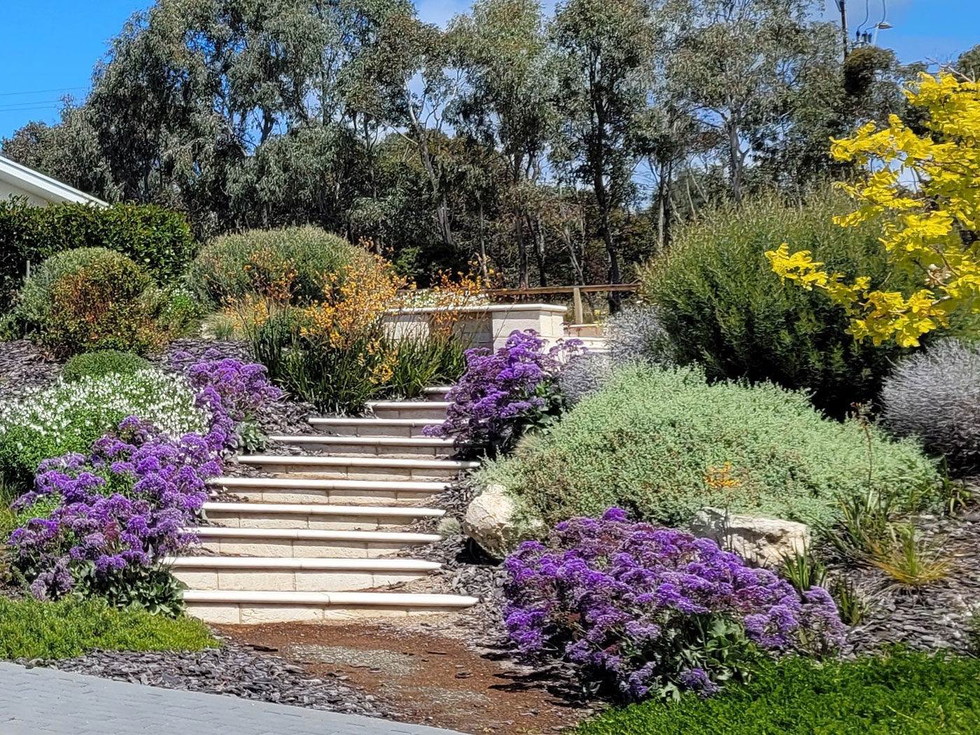 australian native landscapes