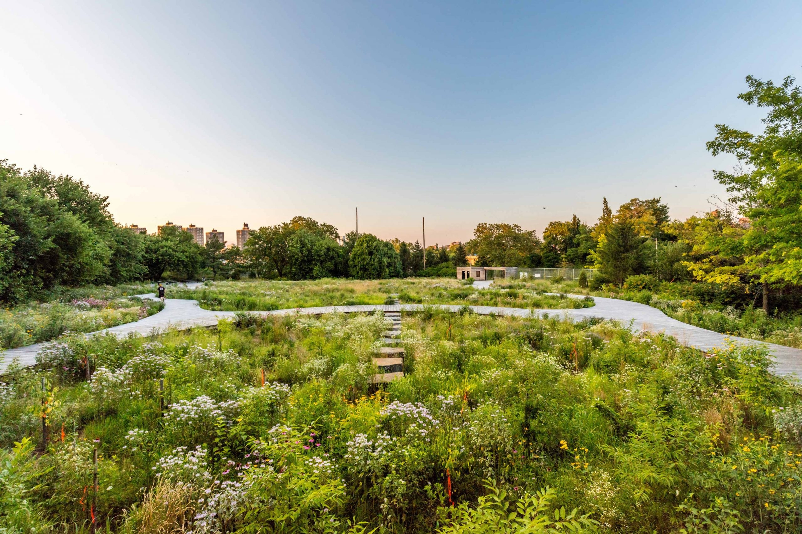 Transformative Landscapes Brooklyn Naval Cemetery Landscape Wonderground