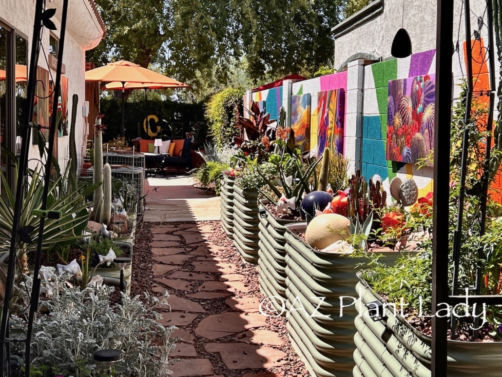 Transforming Your Side Yard Three Inspiring Ideas Desert Gardening 101