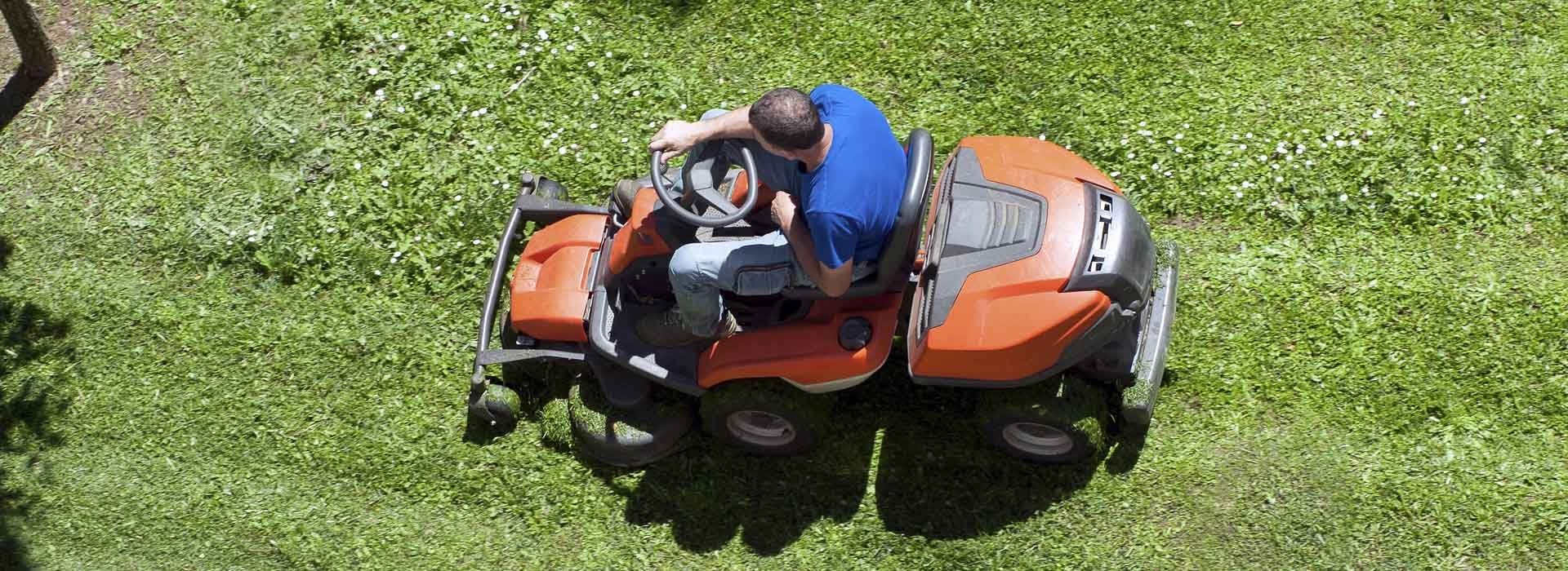 Tree Removal Services Lawn Care S S Tree And Turf Iowa City Cedar Rapids