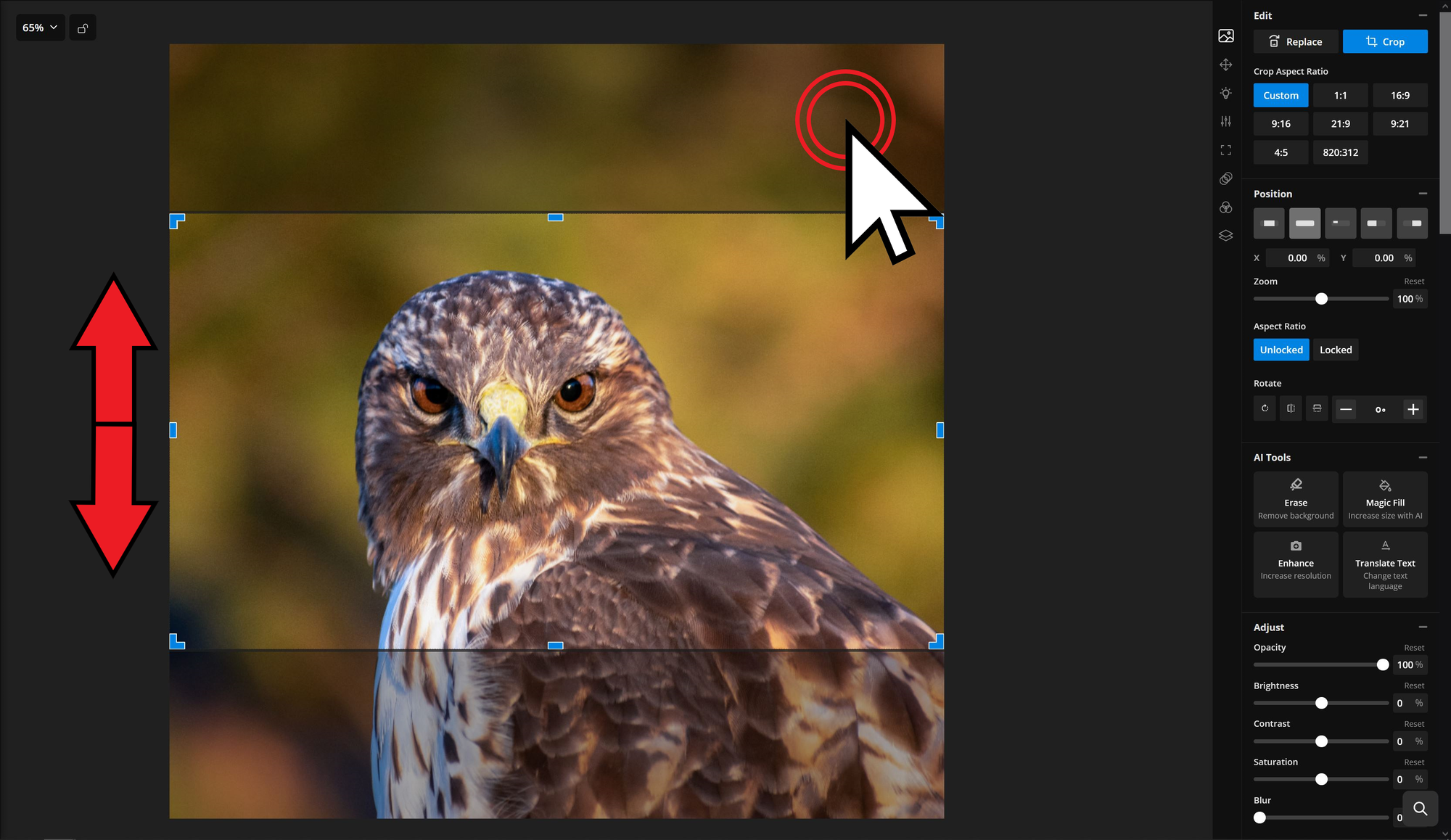 Turn A Square Photo Into A Landscape Image Using AI