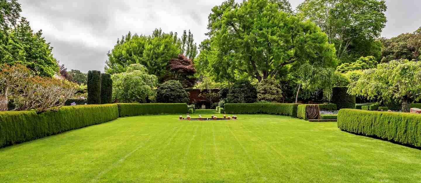 Types Of Lawn Grass In Pakistan Korean Fine Dhaka More Zameen Blog