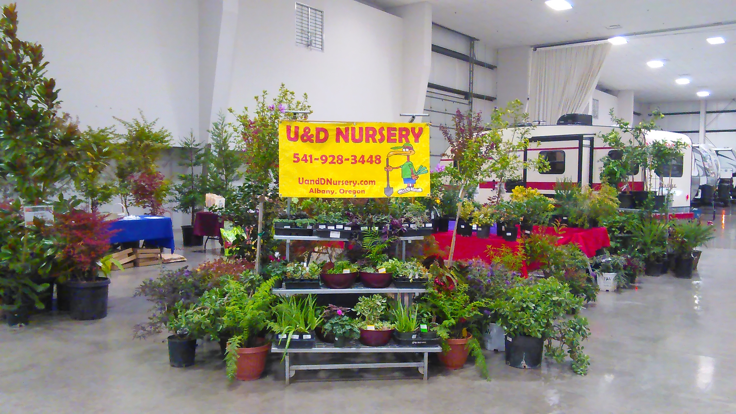 U D Nursery Inc Nursery Landscape Supplies Services