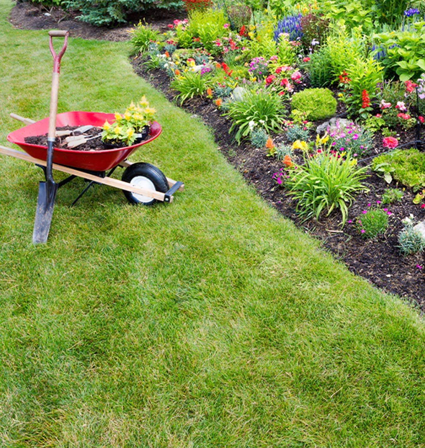 Ultimate Guide To Spring Yard Clean Up Revitalize Your Garden And Lawn Salisbury Greenhouse Ultimate Guide To Spring Yard Clean Up Revitalize Your Garden And Lawn Salisbury Greenhouse