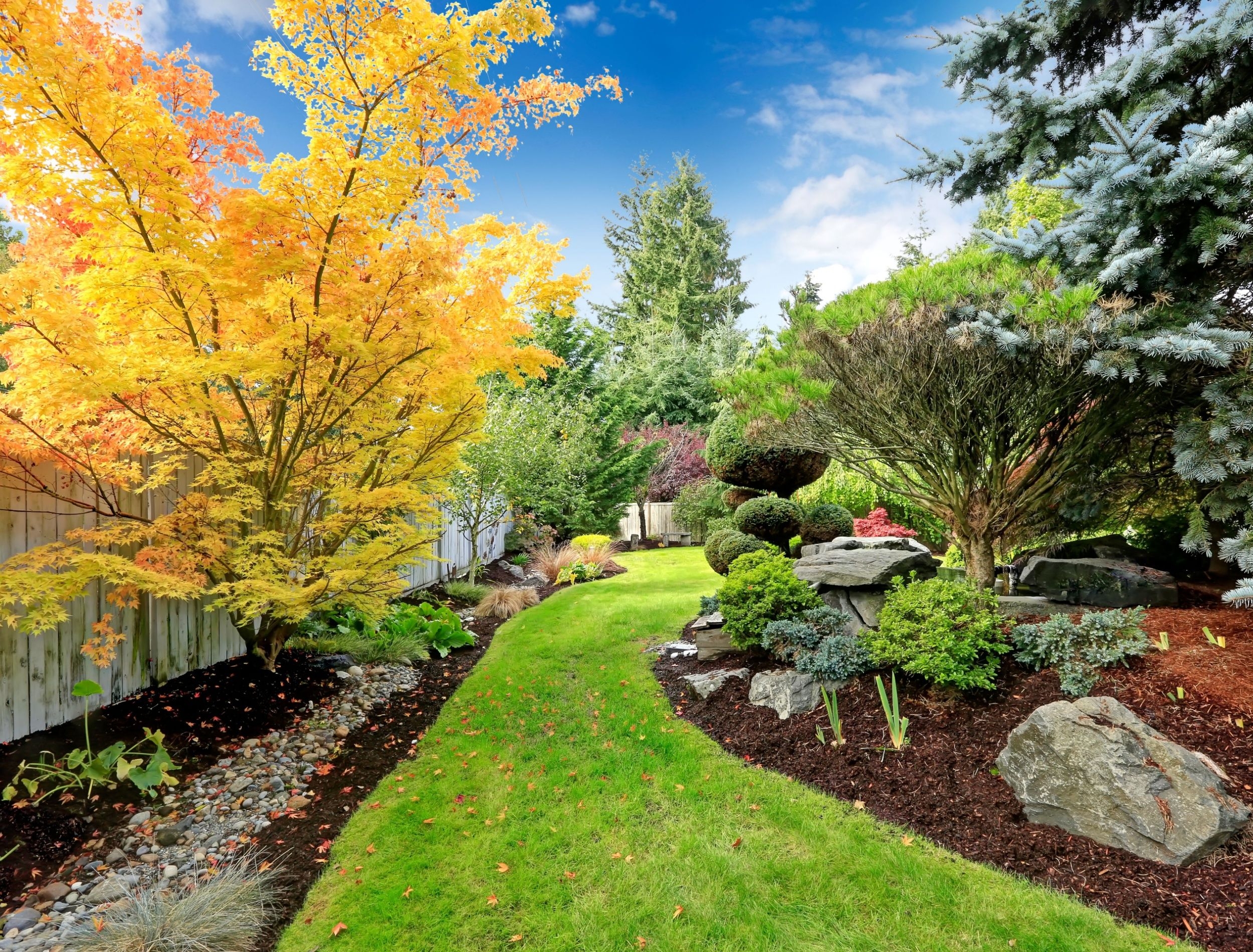 Use Naturalistic Landscape Design For Low Maintenance Landscaping Ideas