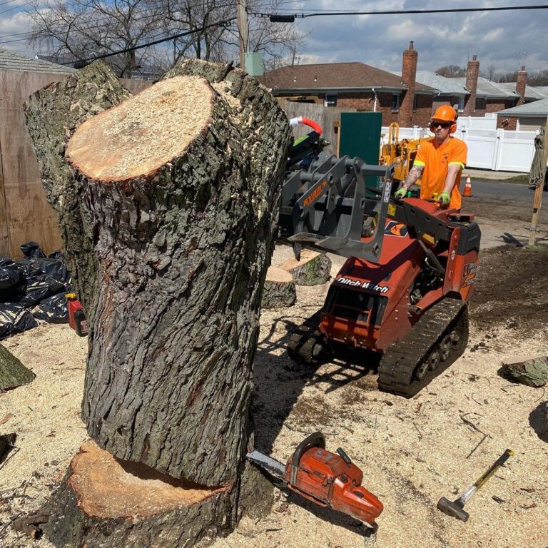 Valley Tree Landscape Service Inc