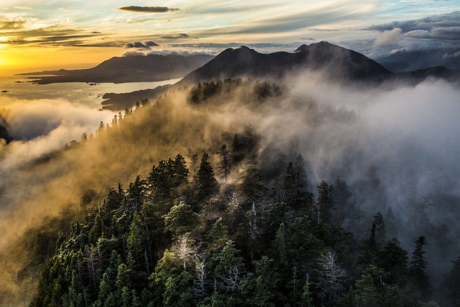 Vast Landscapes Paul Nicklen