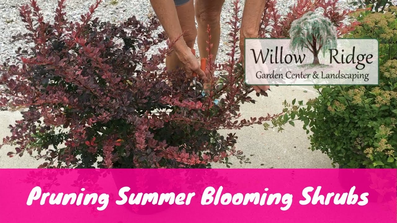 willow ridge garden center & landscaping