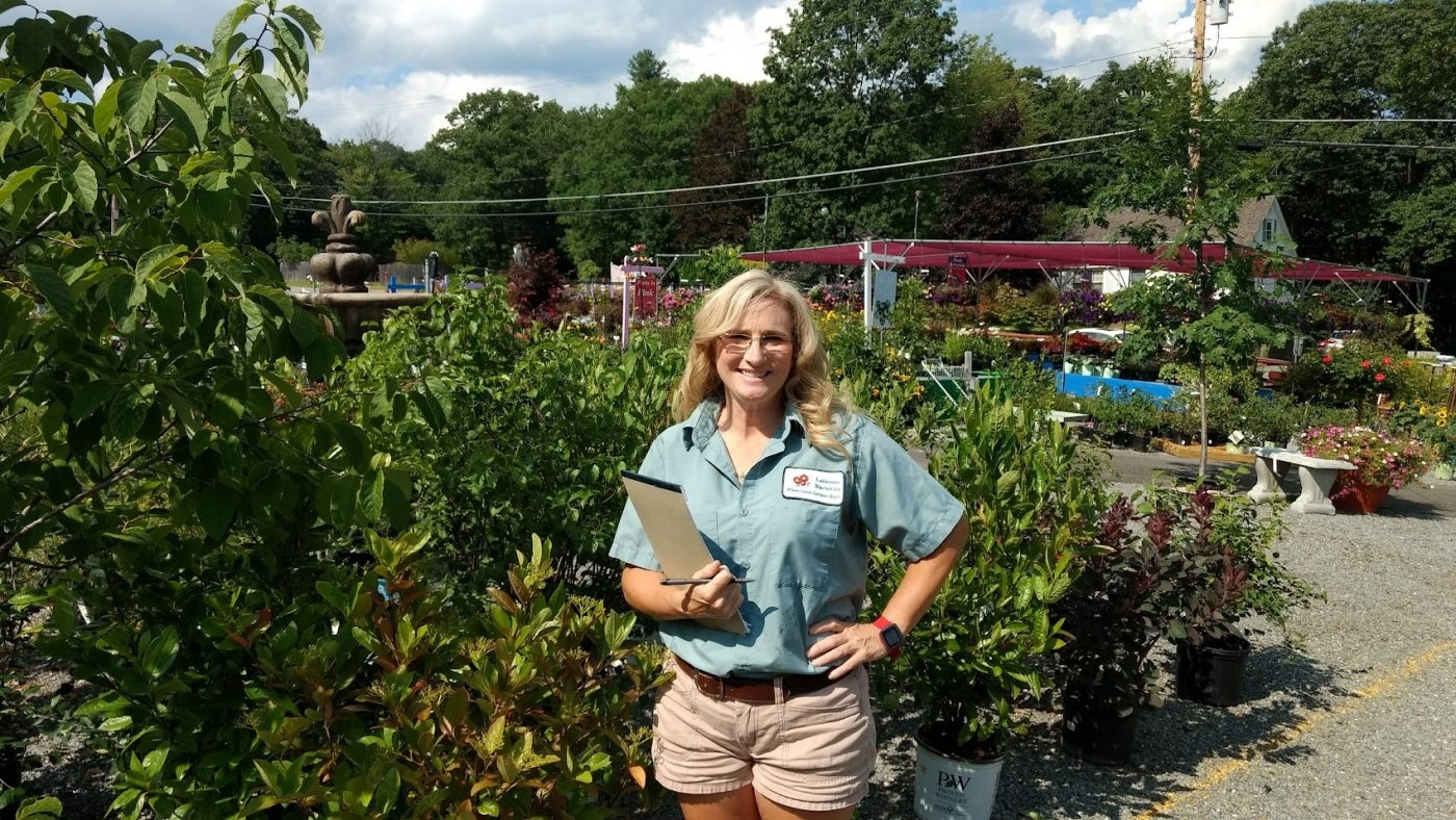 Visit The Expert Staff Of Horticulturalists At Lakeview Garden Center Visit The Expert Staff Of Horticulturalists At Lakeview Garden Center