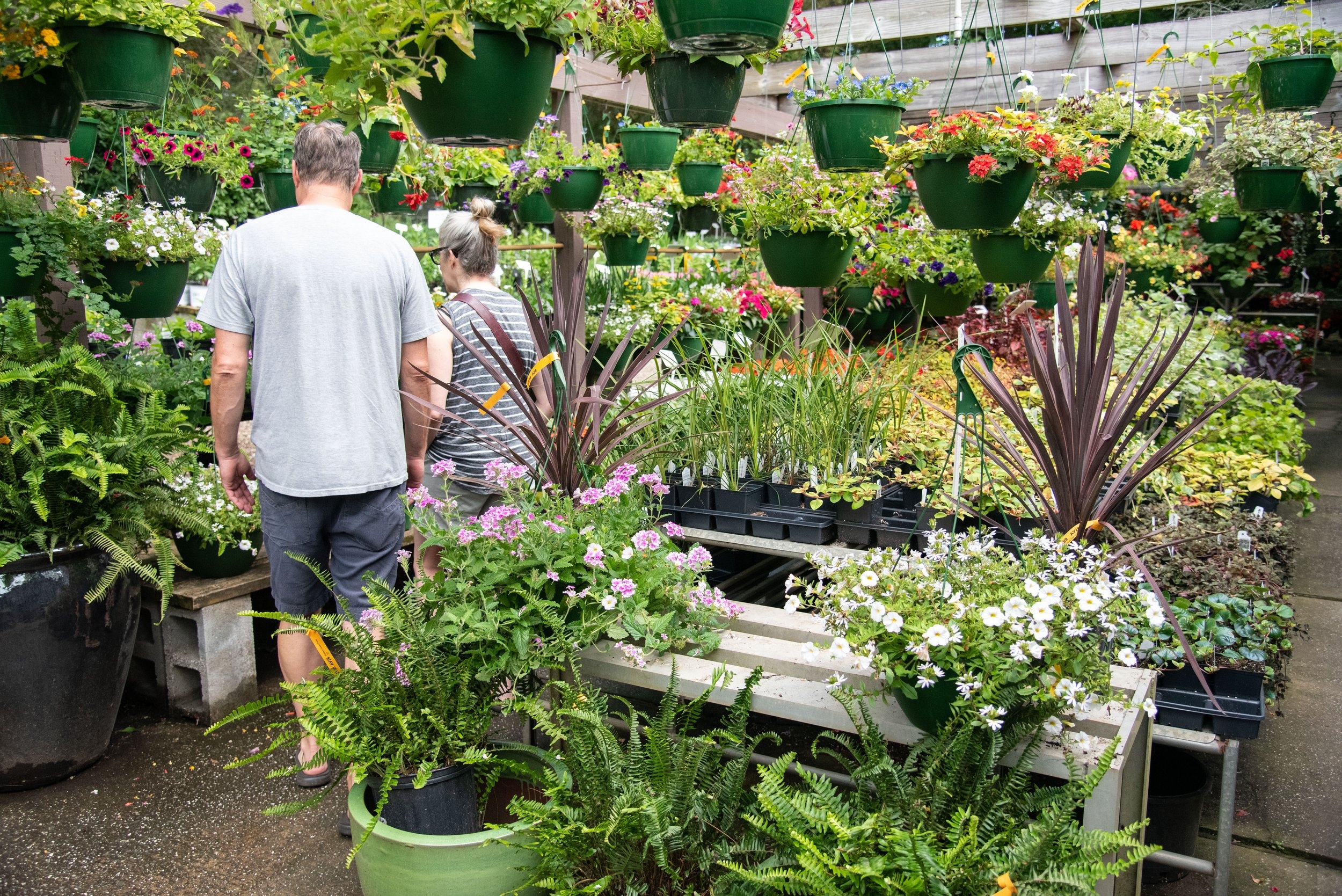 Visit Us Raymond s Garden Center Visit Us Raymond s Garden Center