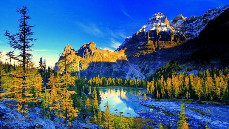 Wallpaper Hot Sale 4k Landscape