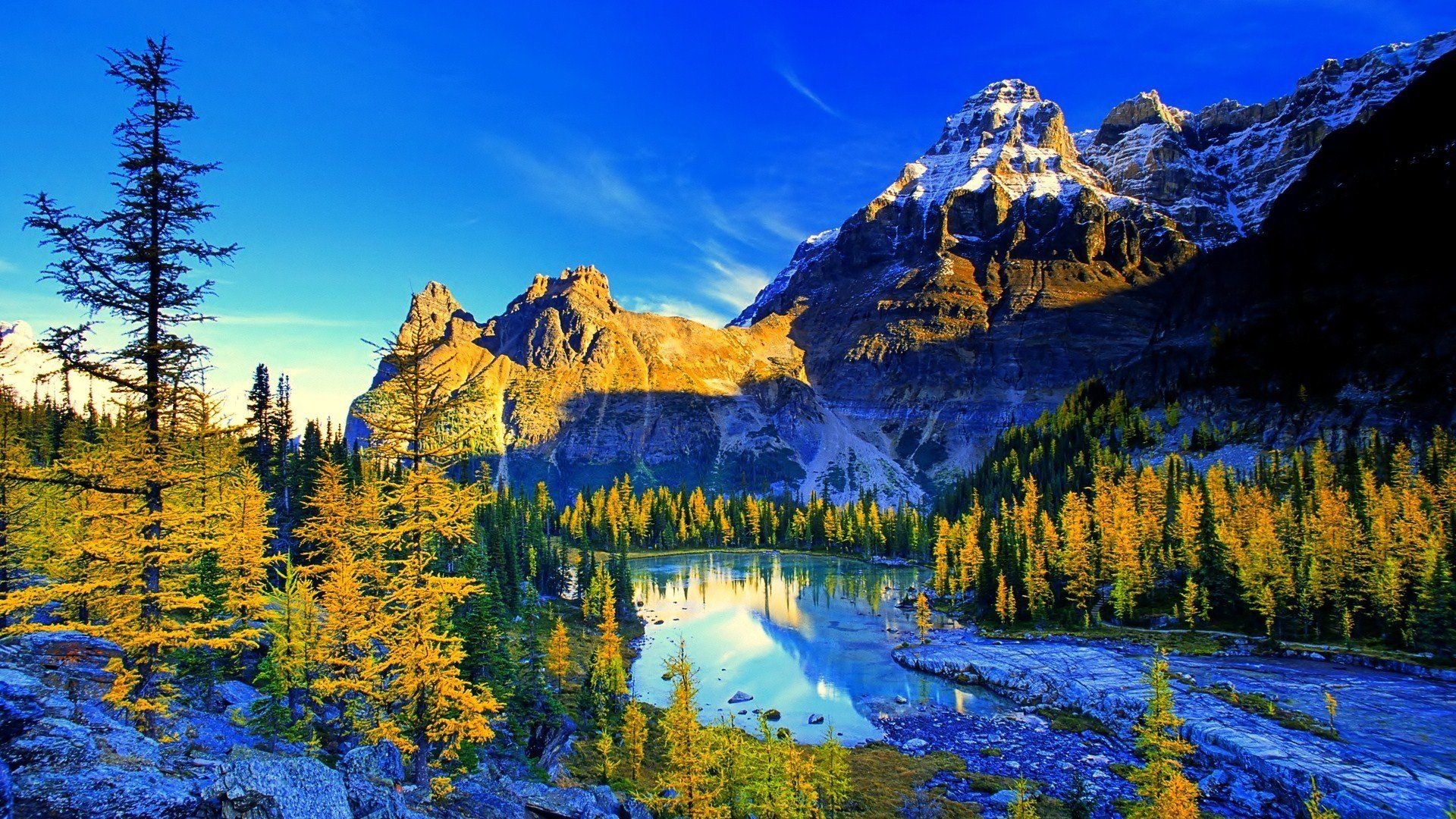 Wallpaper Hot Sale 4k Landscape