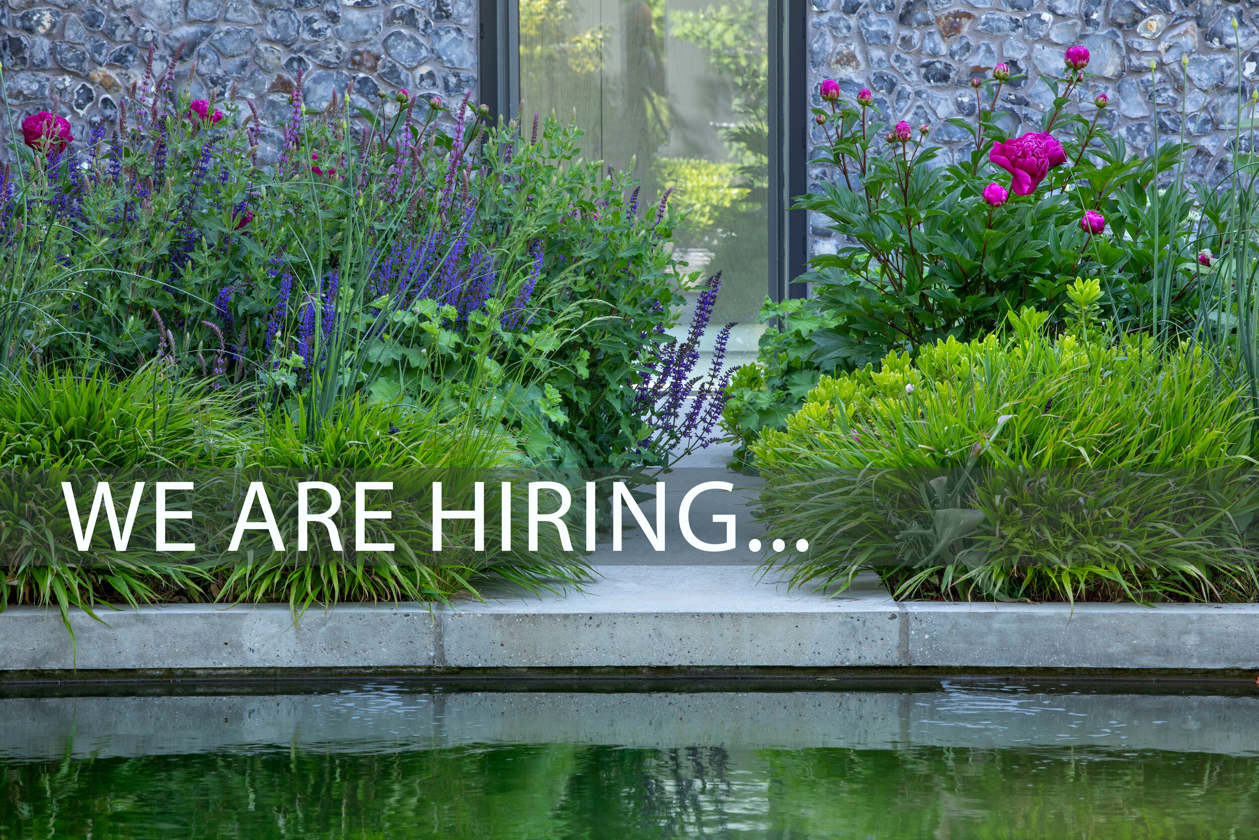 We Have A Vacancy For A Senior Landscape Architect Garden Designer Charlotte Rowe