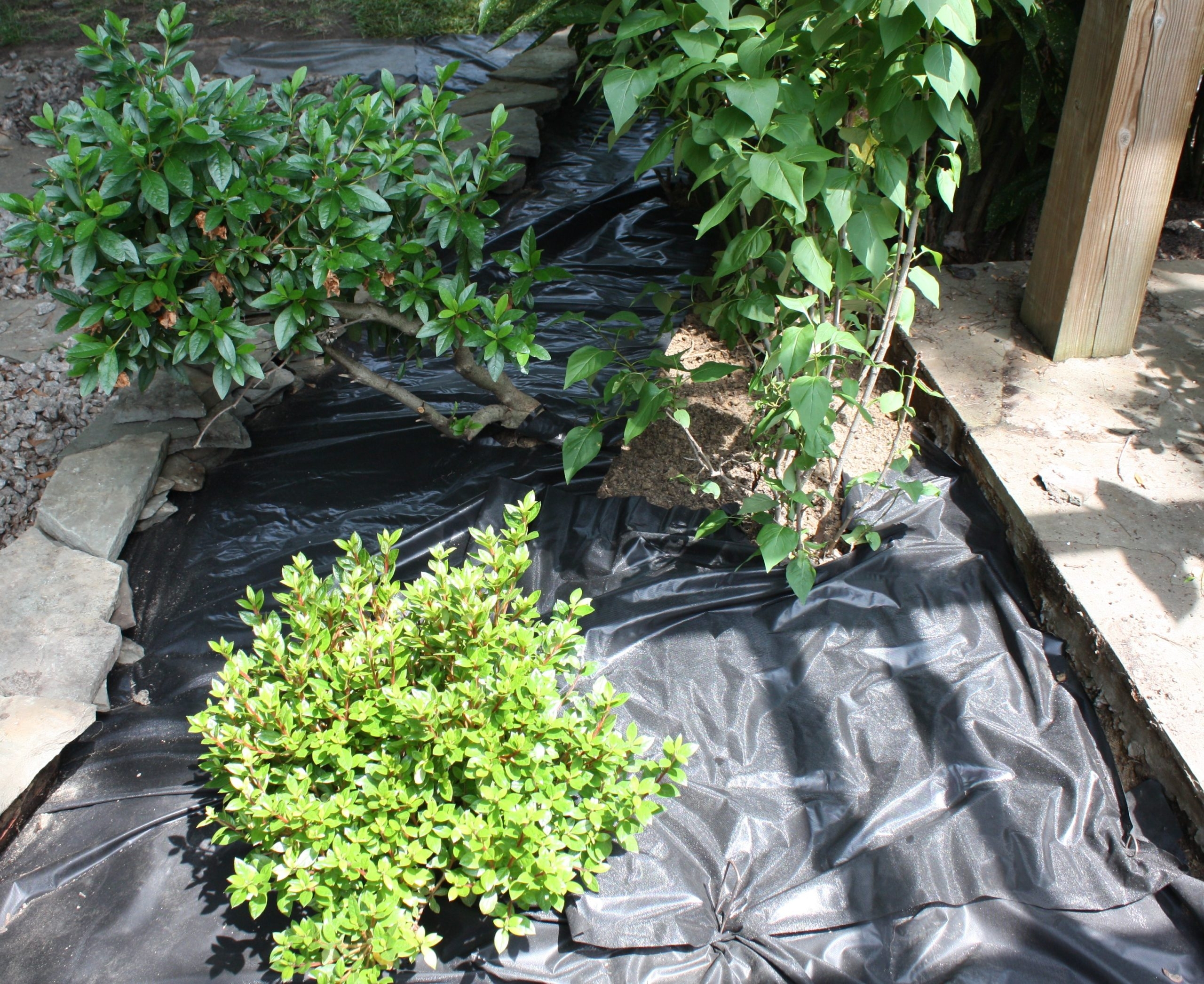 Weed Solutions Is Landscape Fabric A Good Idea 