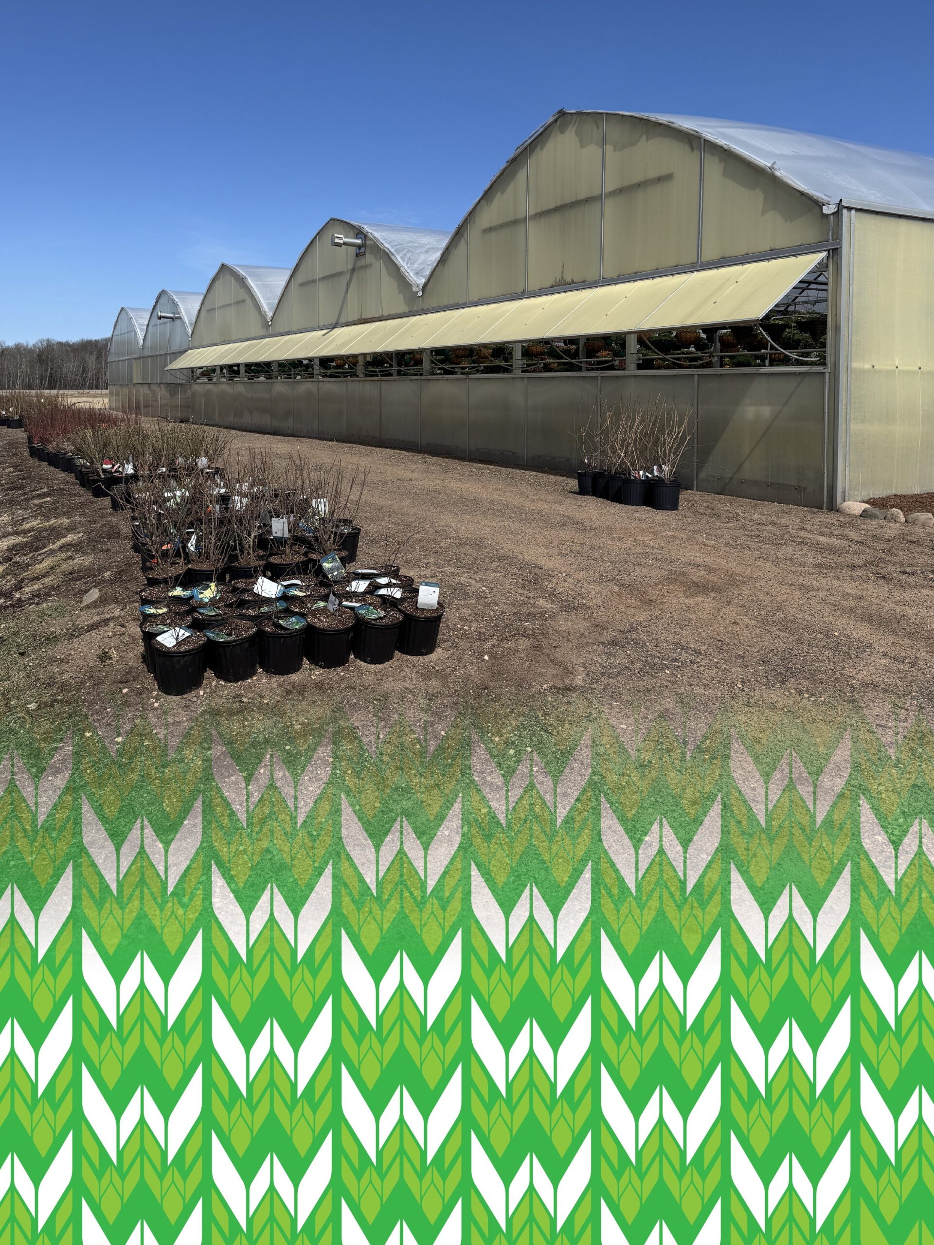 Weegman Landscape Garden Center Grow Your Vision Weegman Landscape Garden Center Grow Your Vision