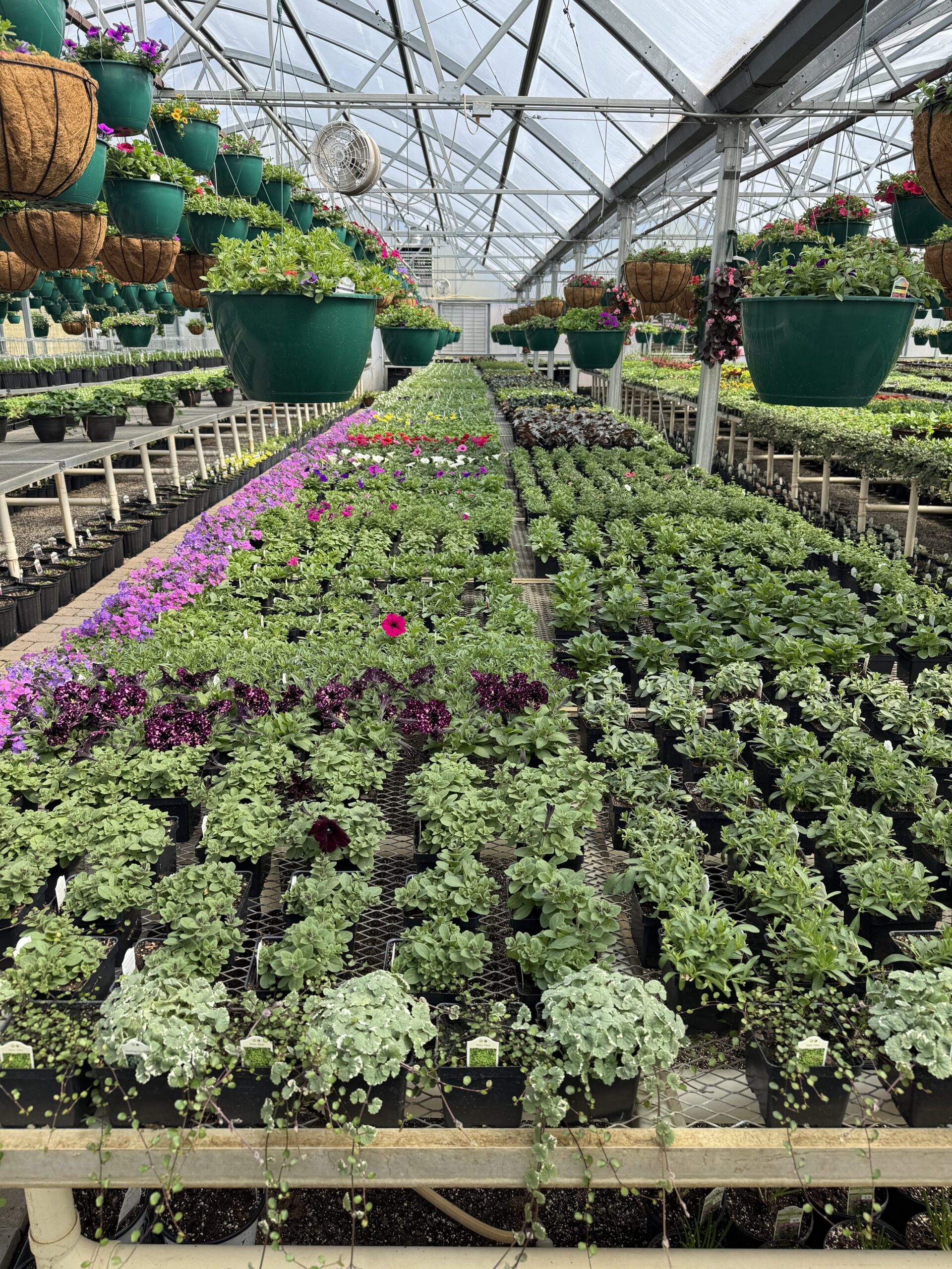 Weegman Landscape Garden Center Grow Your Vision Weegman Landscape Garden Center Grow Your Vision