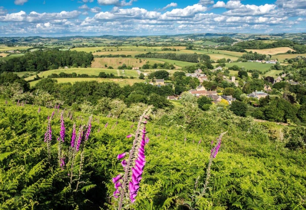 Welcome To Dorset National Landscape Dorset National Landscape