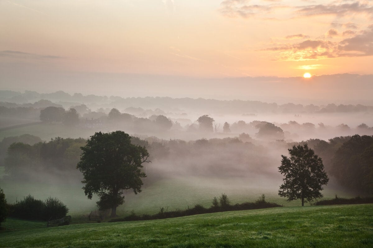 Welcome To The High Weald National Landscape