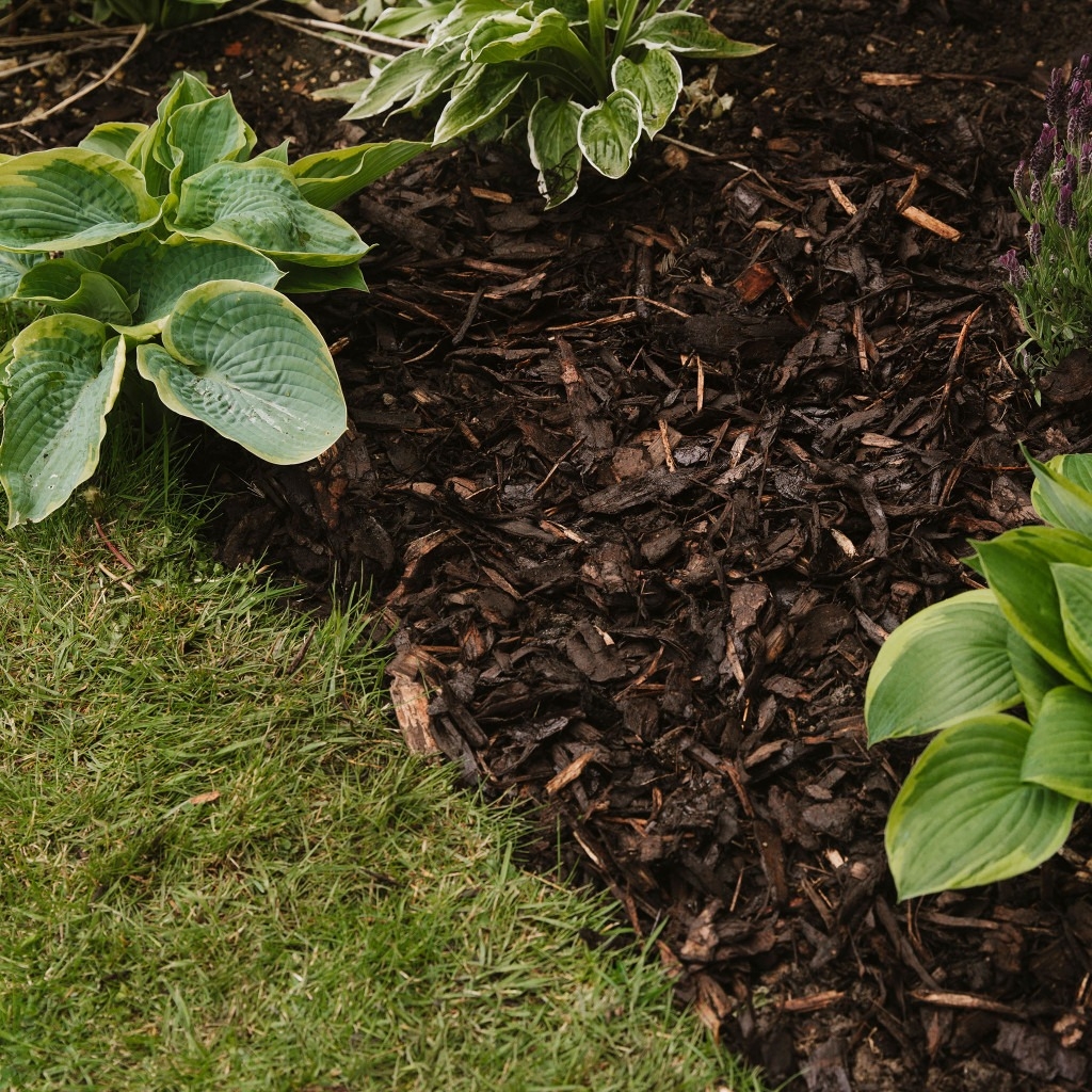 Westland Landscape Bark 100L Weed Suppressing Mulch For Gardens Trees Hedging Harrod Outdoors