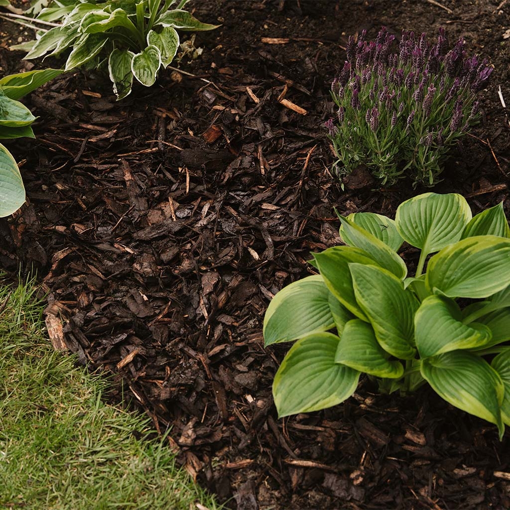 Westland Landscape Bark 90L Bellflower Garden Centre