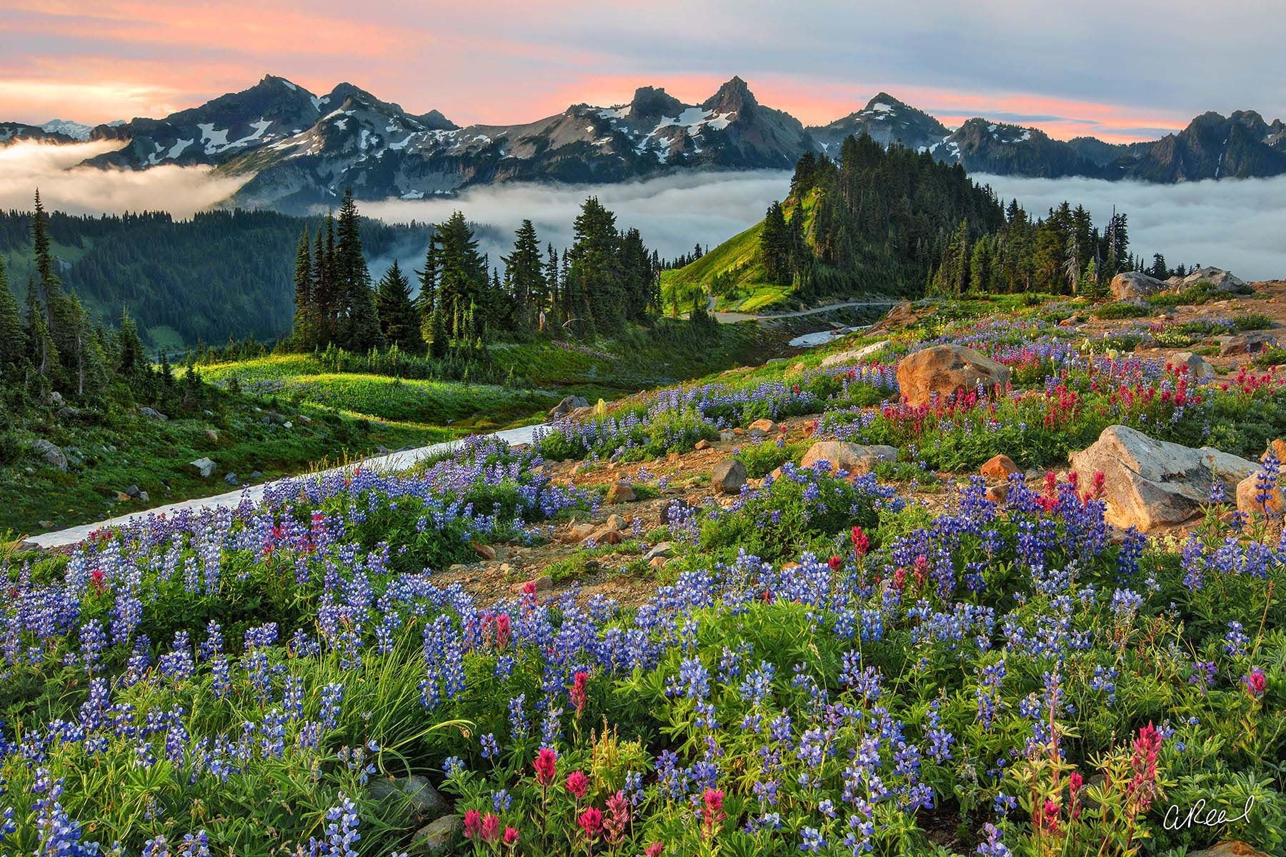 What IS A Landscape Anyway Fine Art Prints By Aaron Reed