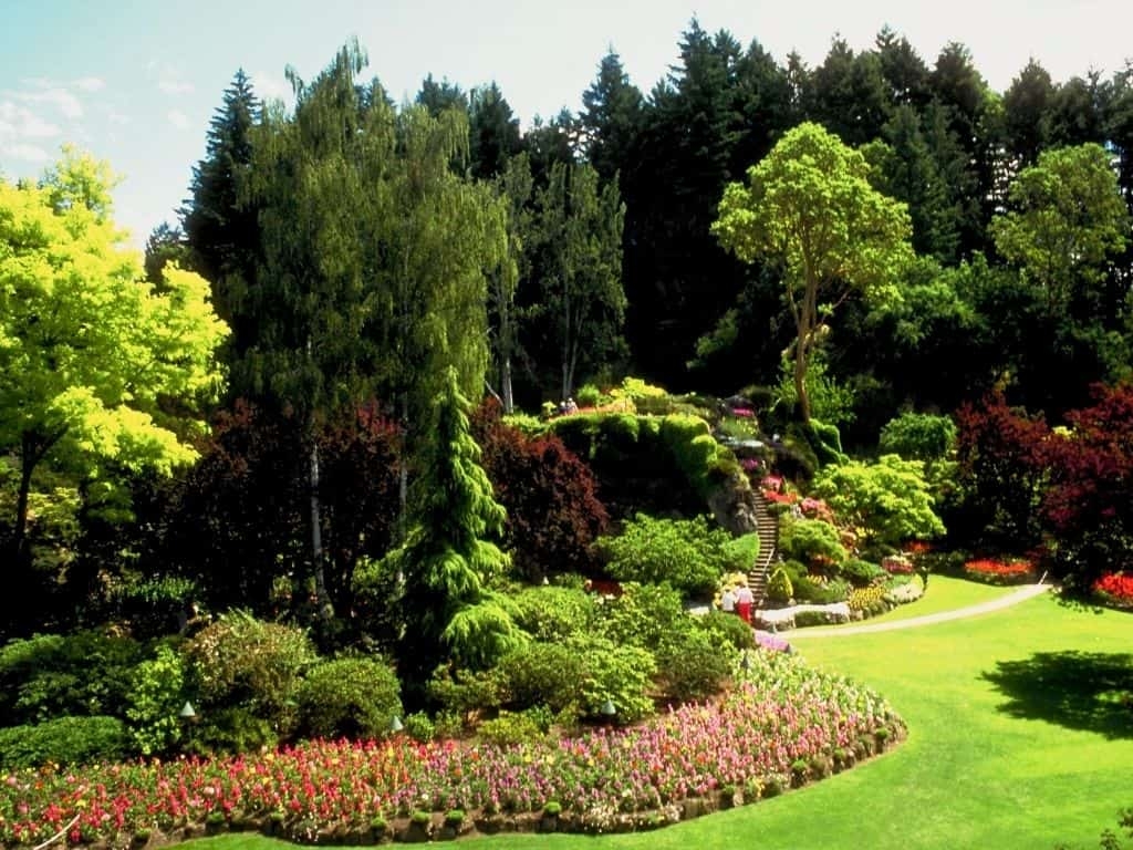 what is landscaping