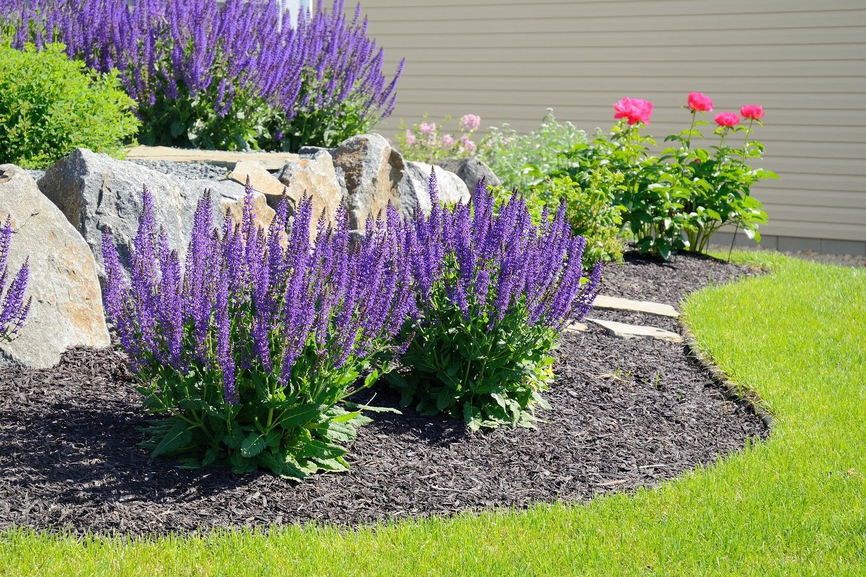 What Plants Are Best For Landscaping In Surrey Atkinson Landscaping Inc