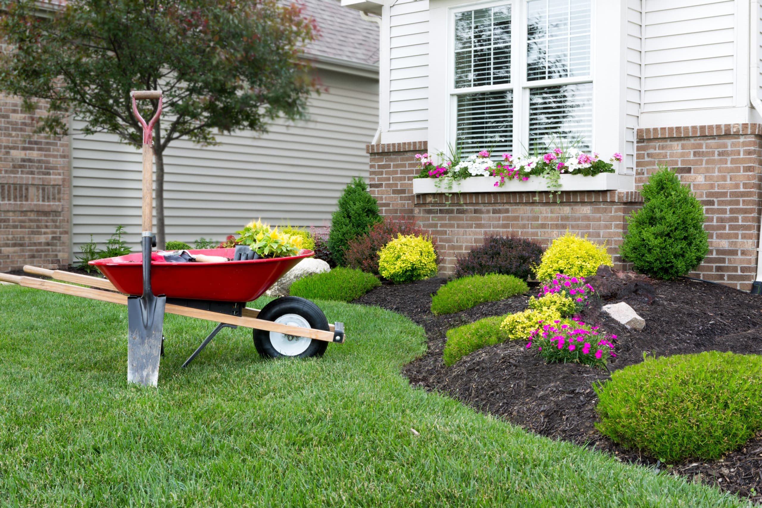 landscaping around house