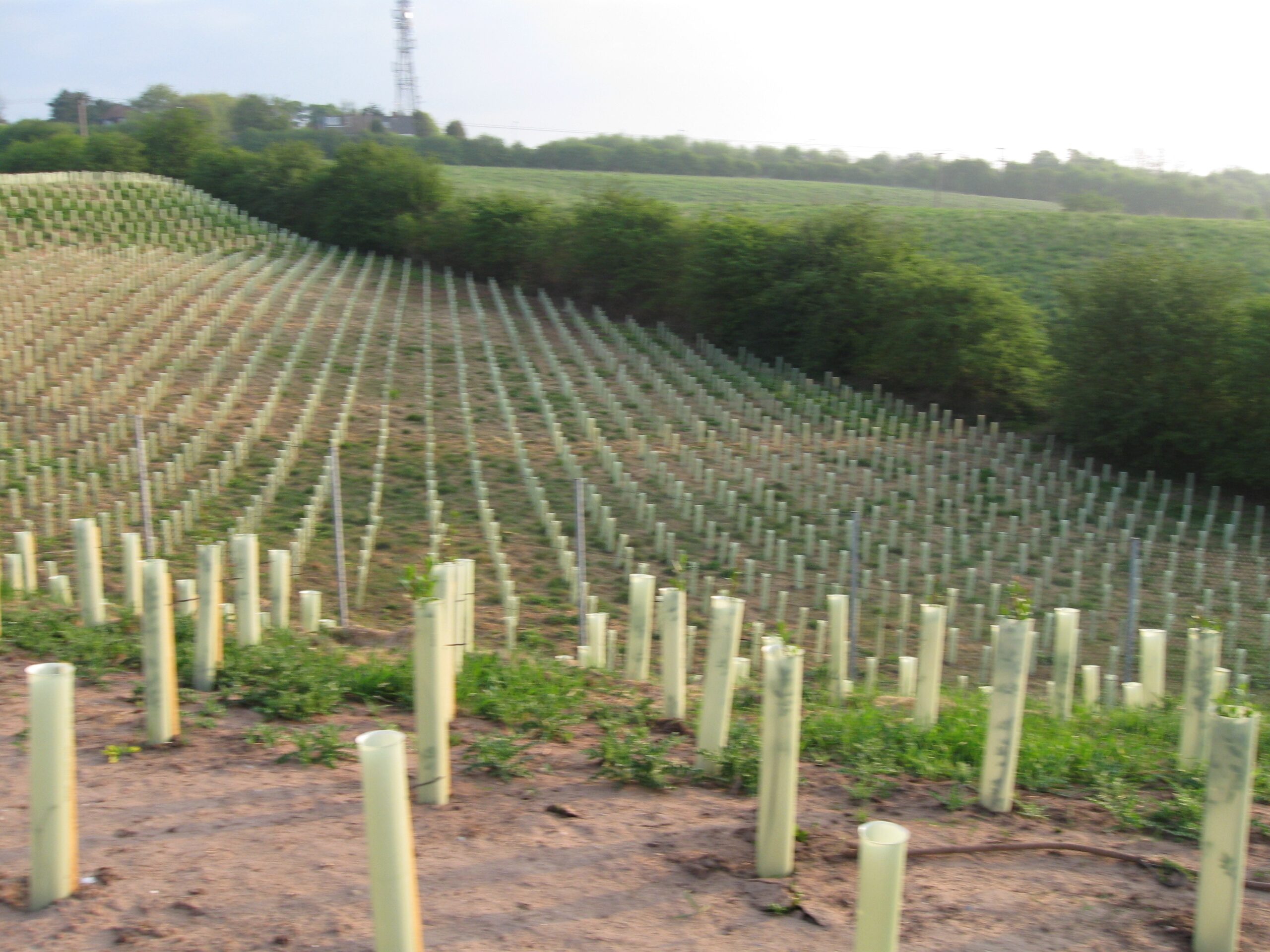 ulyett landscapes ltd
