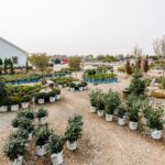 Whispering Hills Garden Landscape Center 847 658 5610