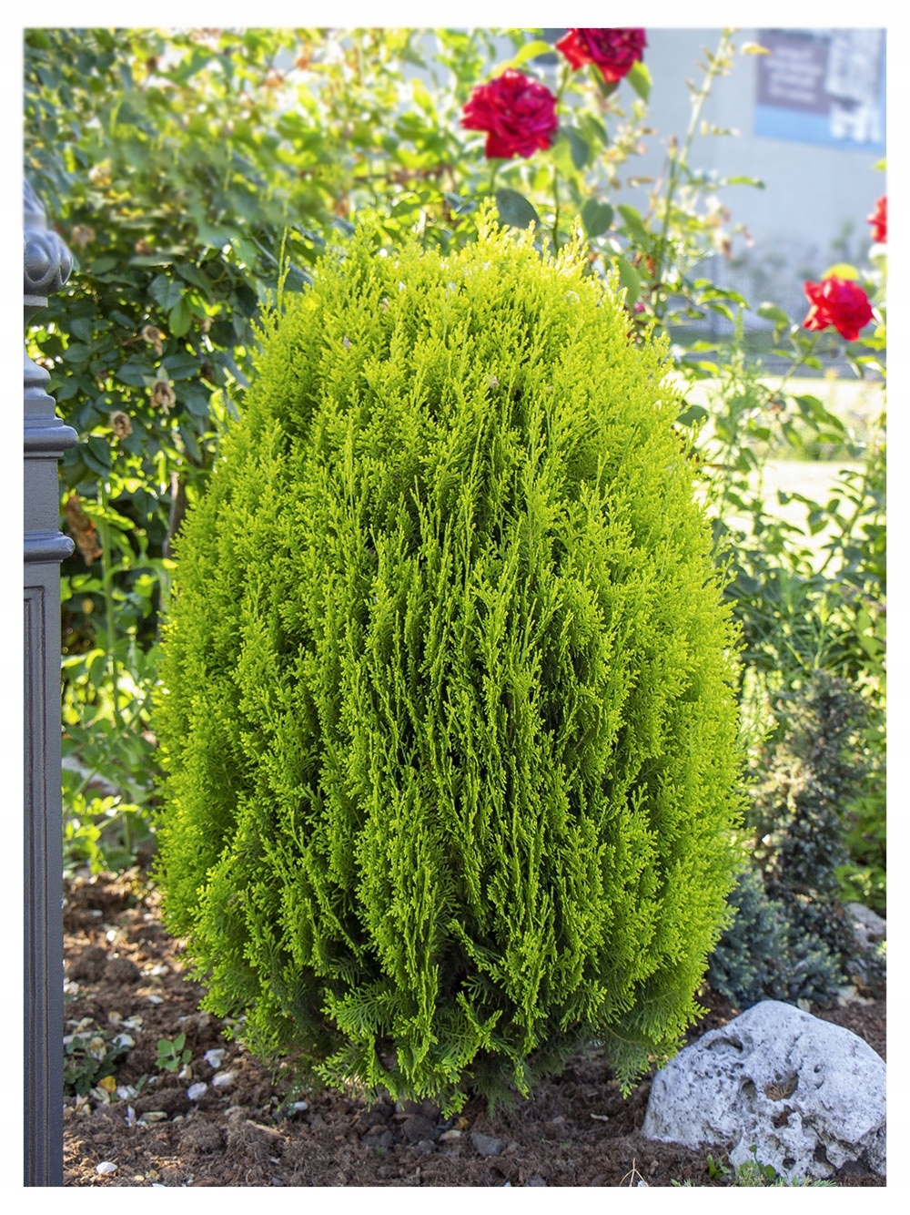 Whispering Hills Garden Landscape Center 847 658 5610 Whispering Hills Garden Landscape Center 847 658 5610