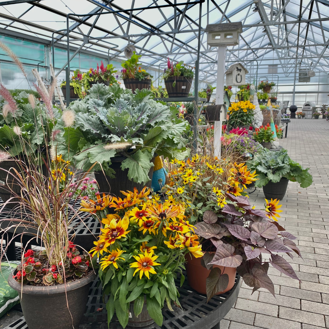 Whispering Hills Garden Landscape Center 847 658 5610 Whispering Hills Garden Landscape Center 847 658 5610