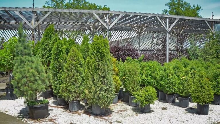 Who We Are At Tholens Landscape And Garden Center In Kankakee IL YouTube