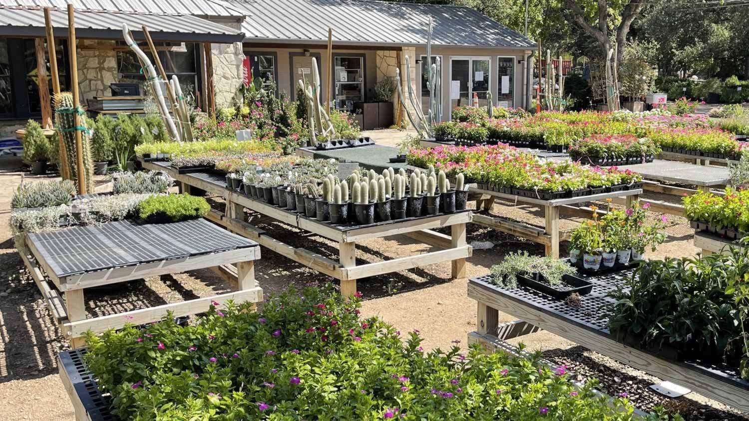 Wholesale Retail Plant Nursery Landscape Supplier