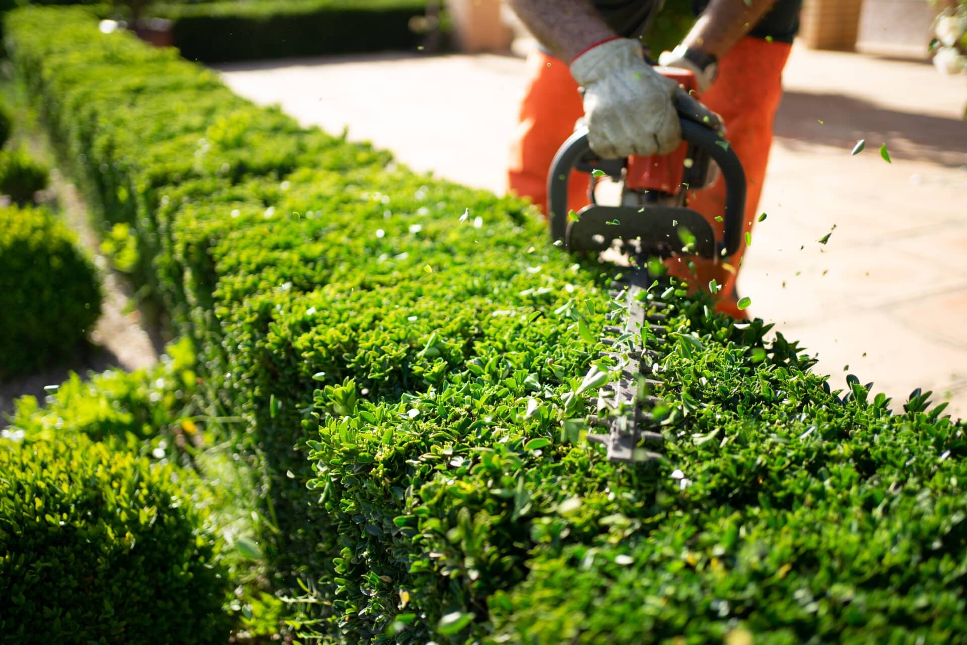 Why A Landscape Maintenance Checklist Is Essential For Facility Managers ServiceChannel