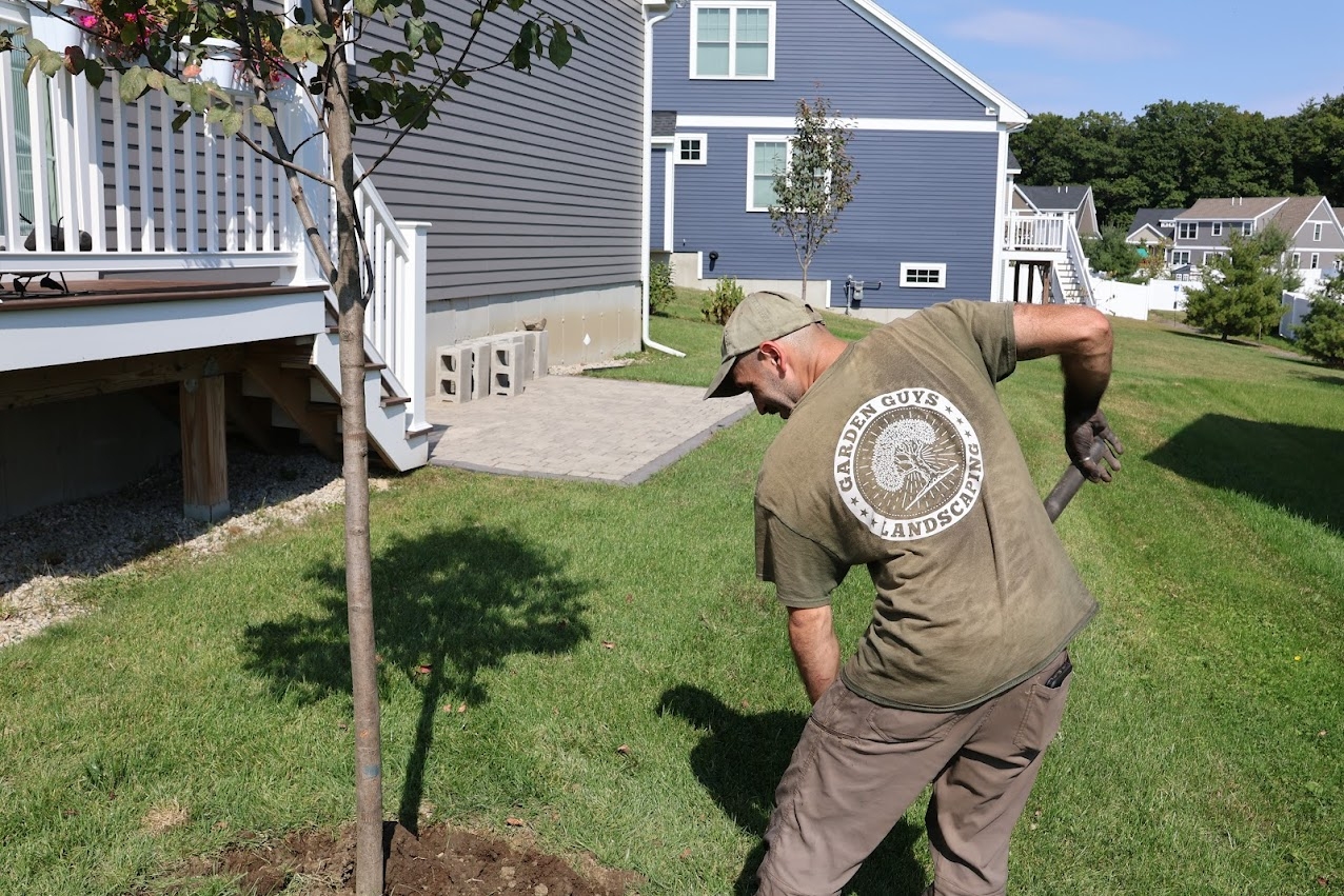 garden guys landscaping